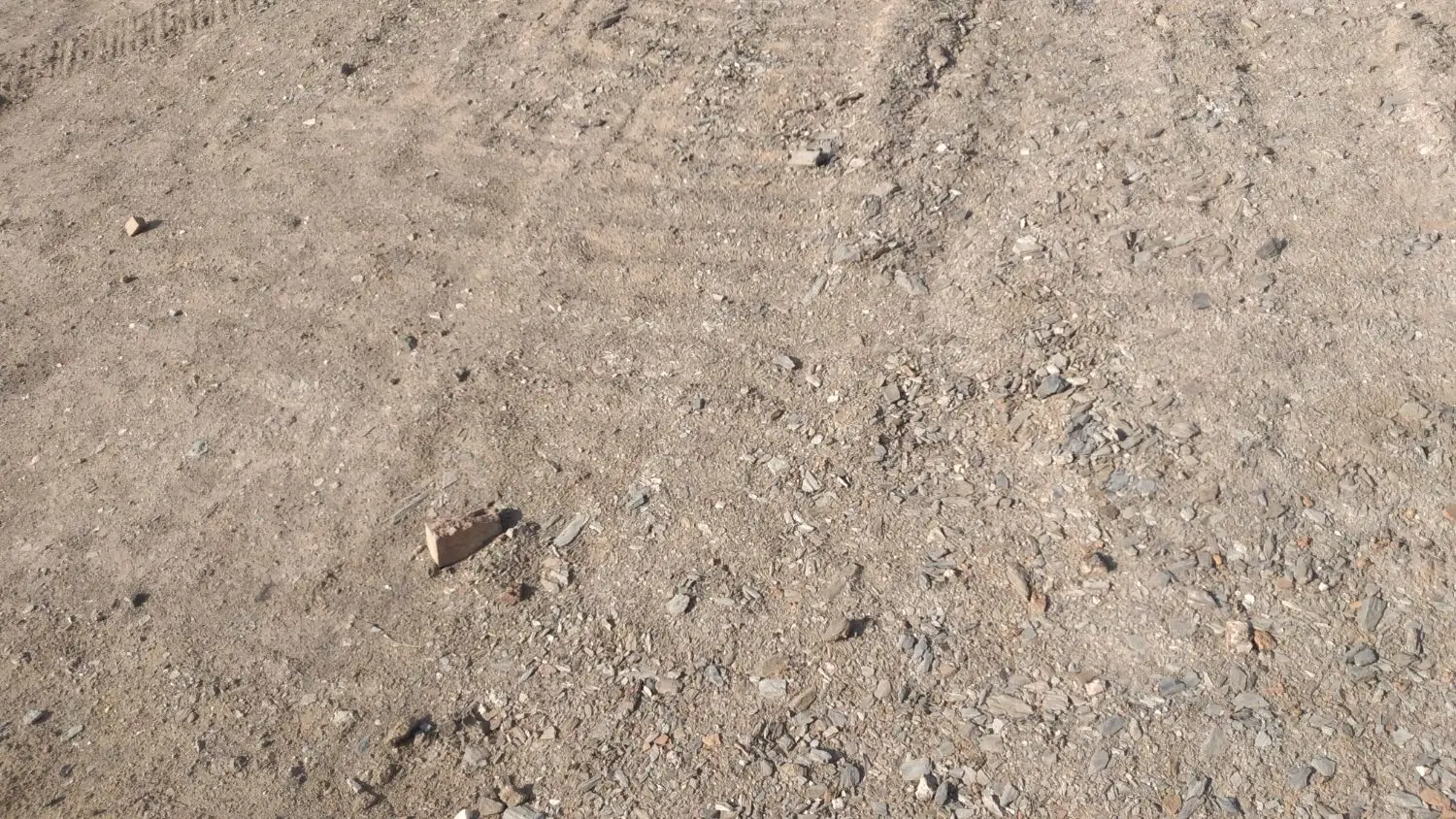زمین کالیکه