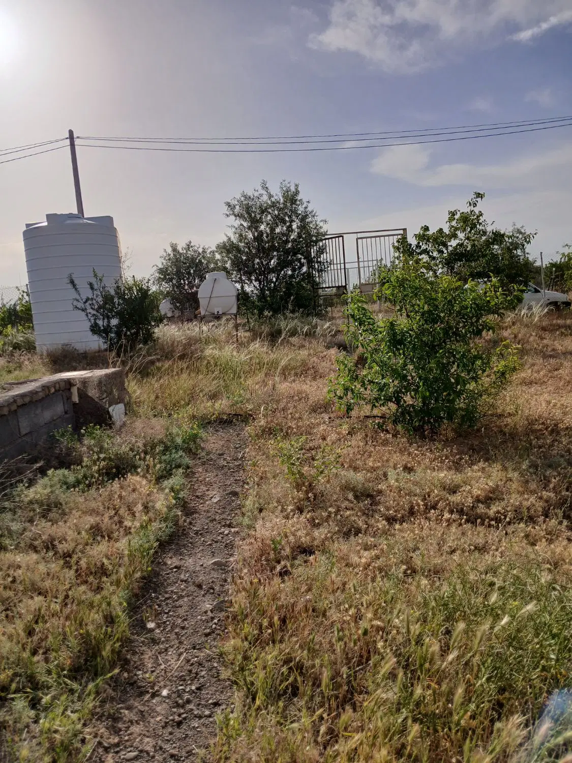 باغ رضوان ۲۴۰۰متر بهر خیابان