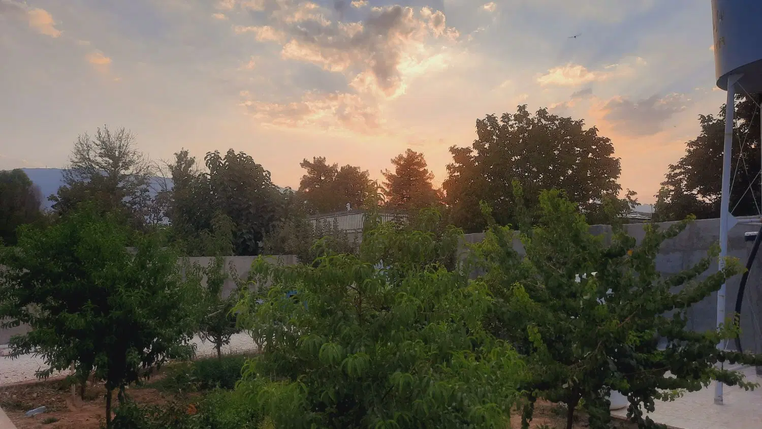 زمین در پشت راه