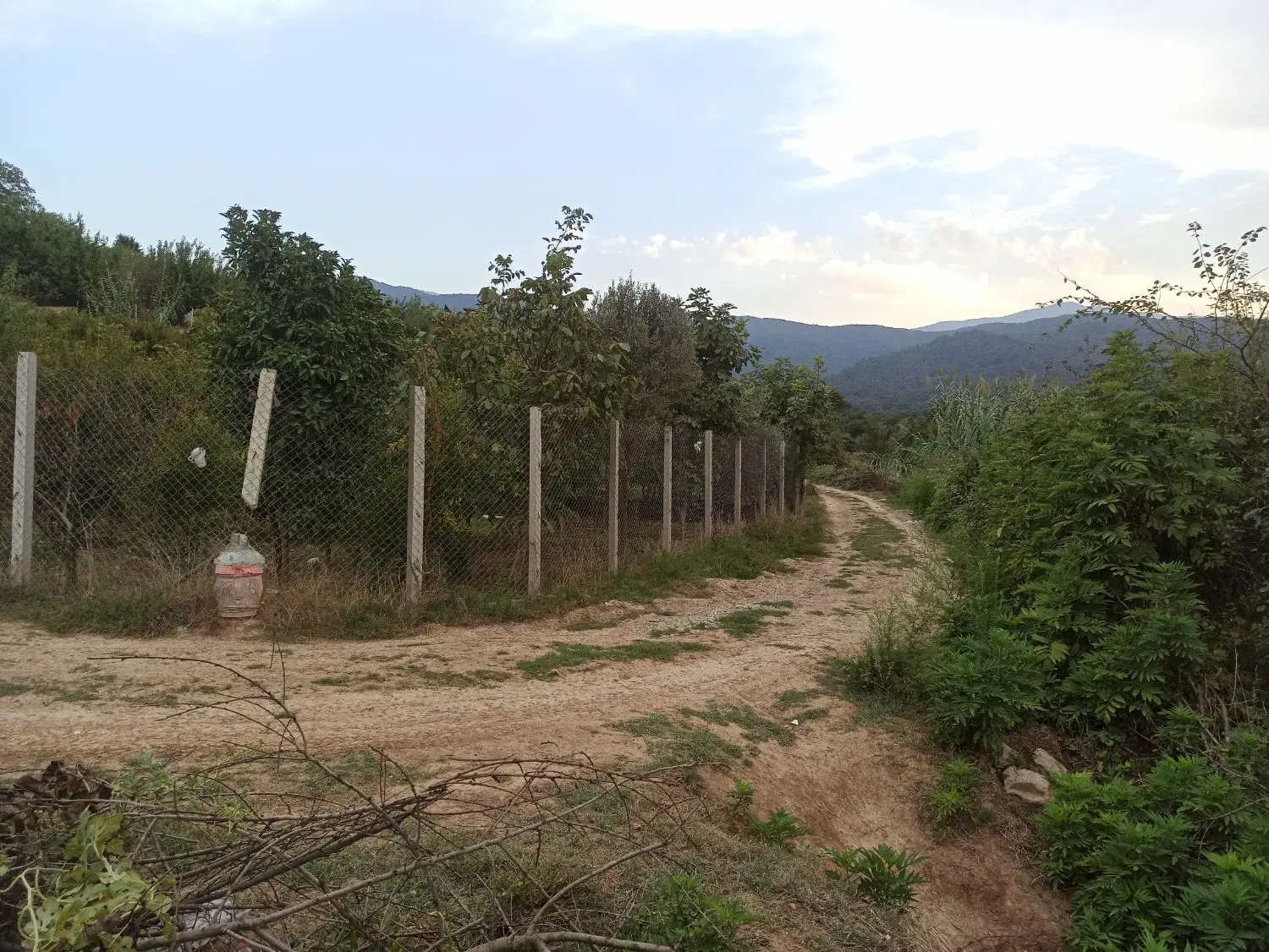 زمین فروشی باغ گلبن