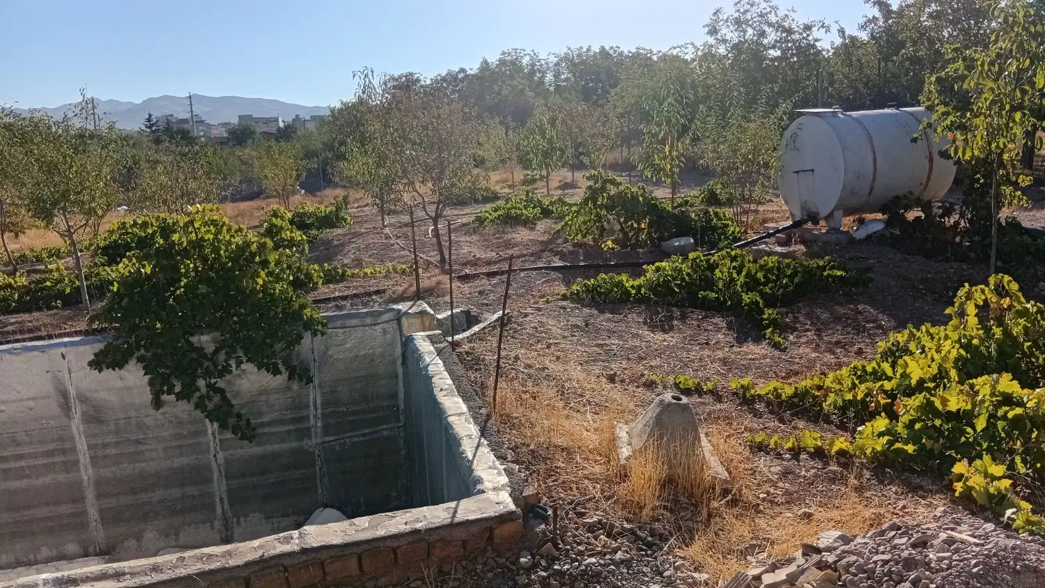 فروش زمین در فاز ۶ گلشهر