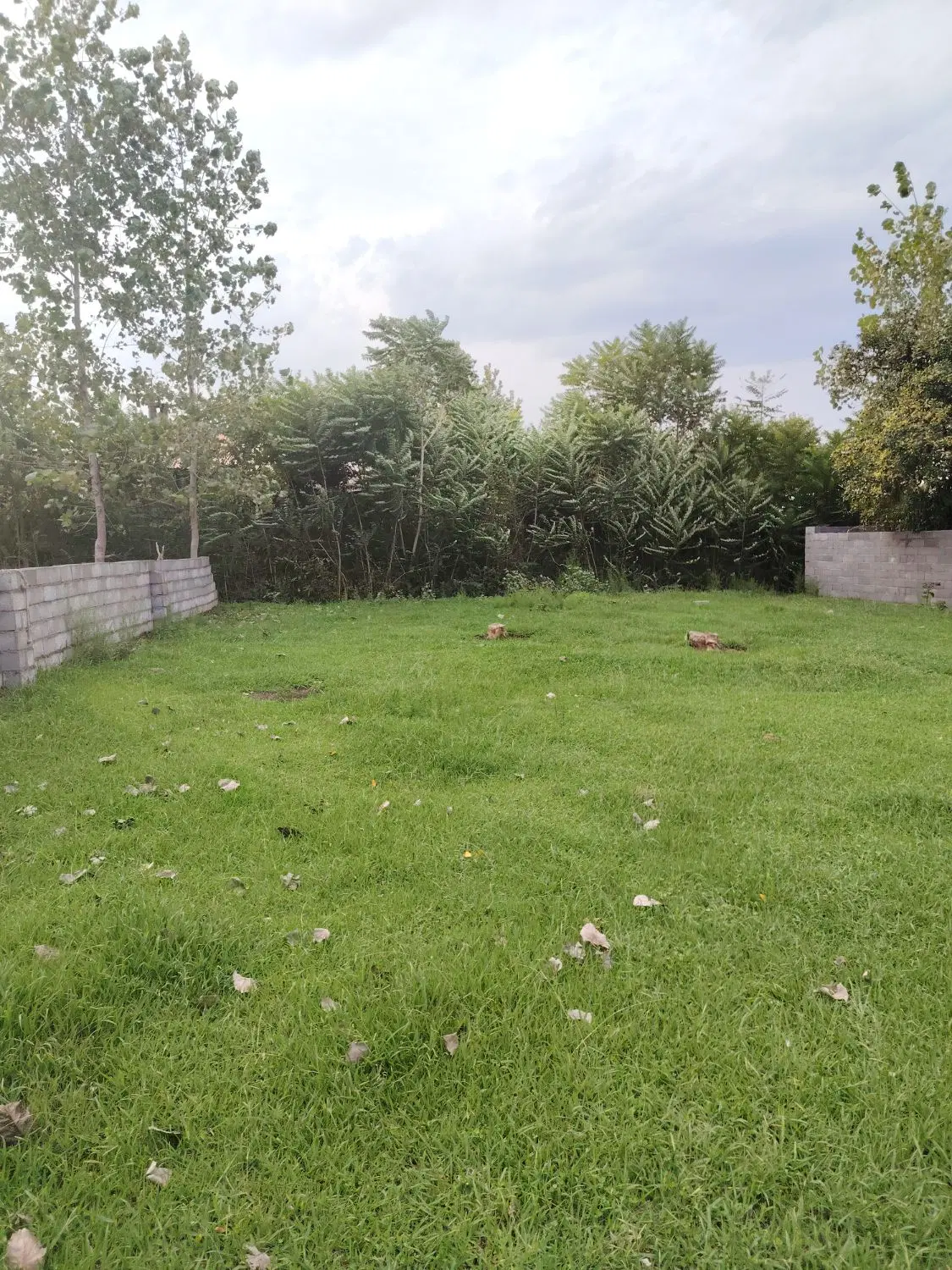 523متر زمین مسکونی روستایی