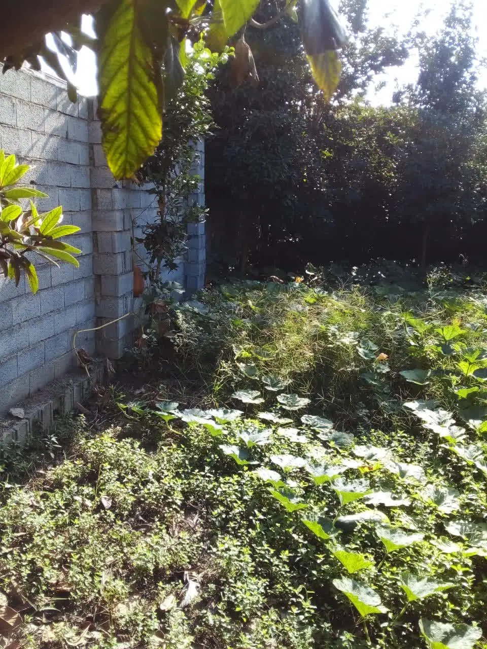 فروش زمین مسکونی