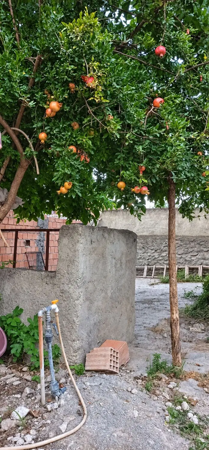 فروش خانه باغ مسکونی در شمال کشور، کردکوی