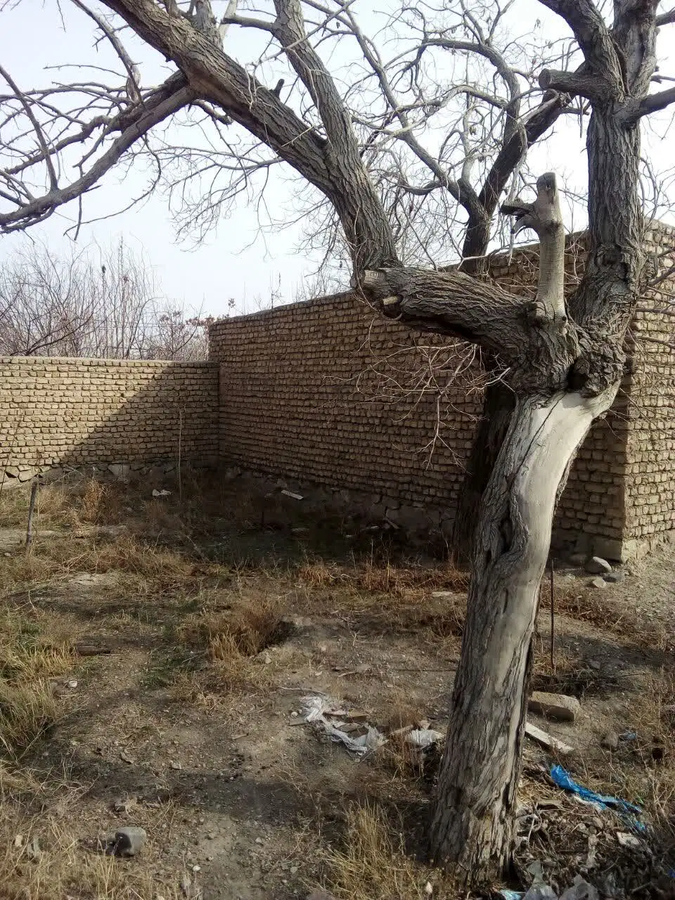 زمین ۲۷۰ متر داخل روستا