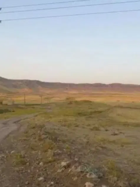 زمین در روستای زینبی قشم  برای سرمایه گذاری