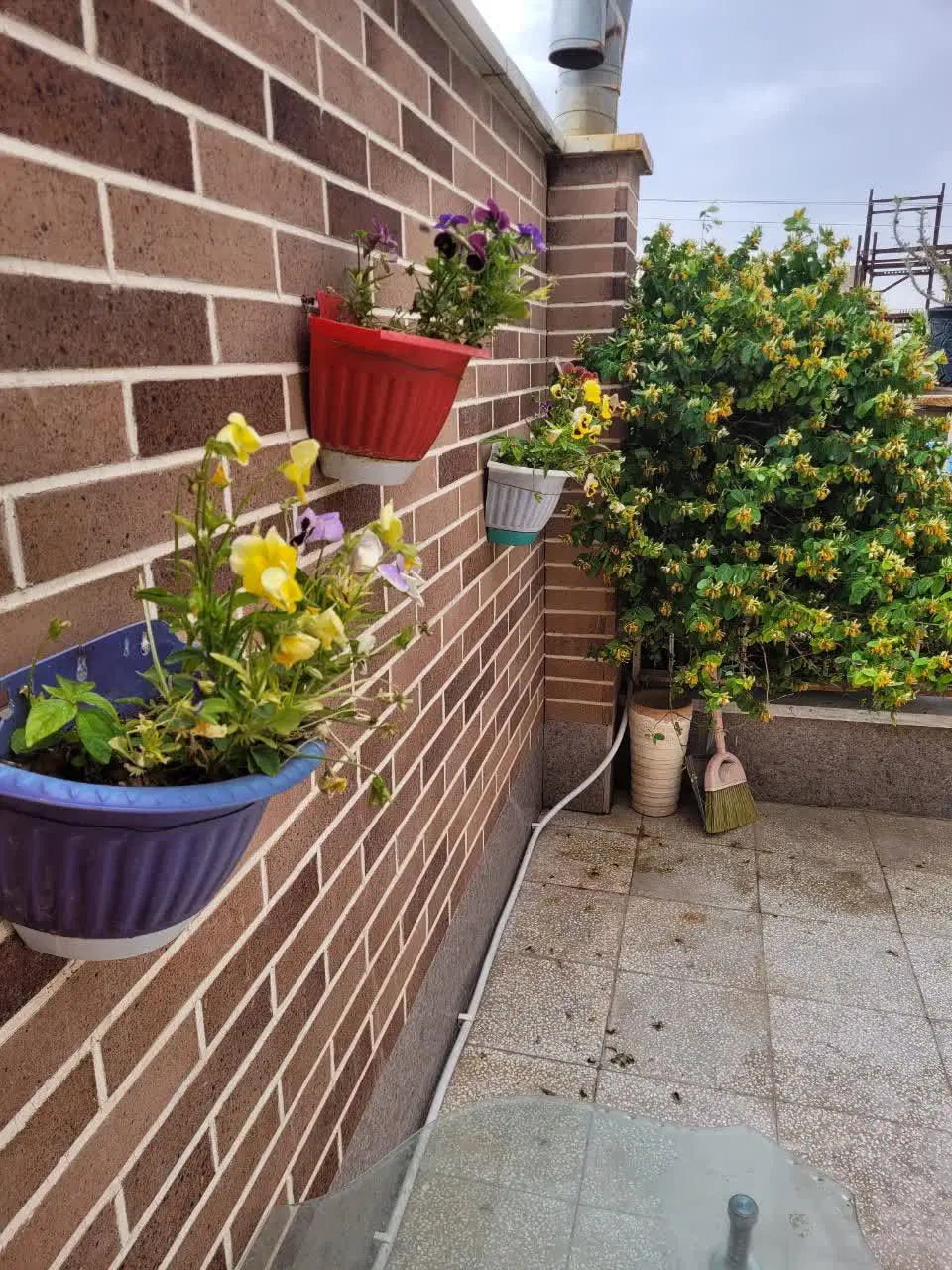 تجاری و مسکونی (فروش یا معاوضه)