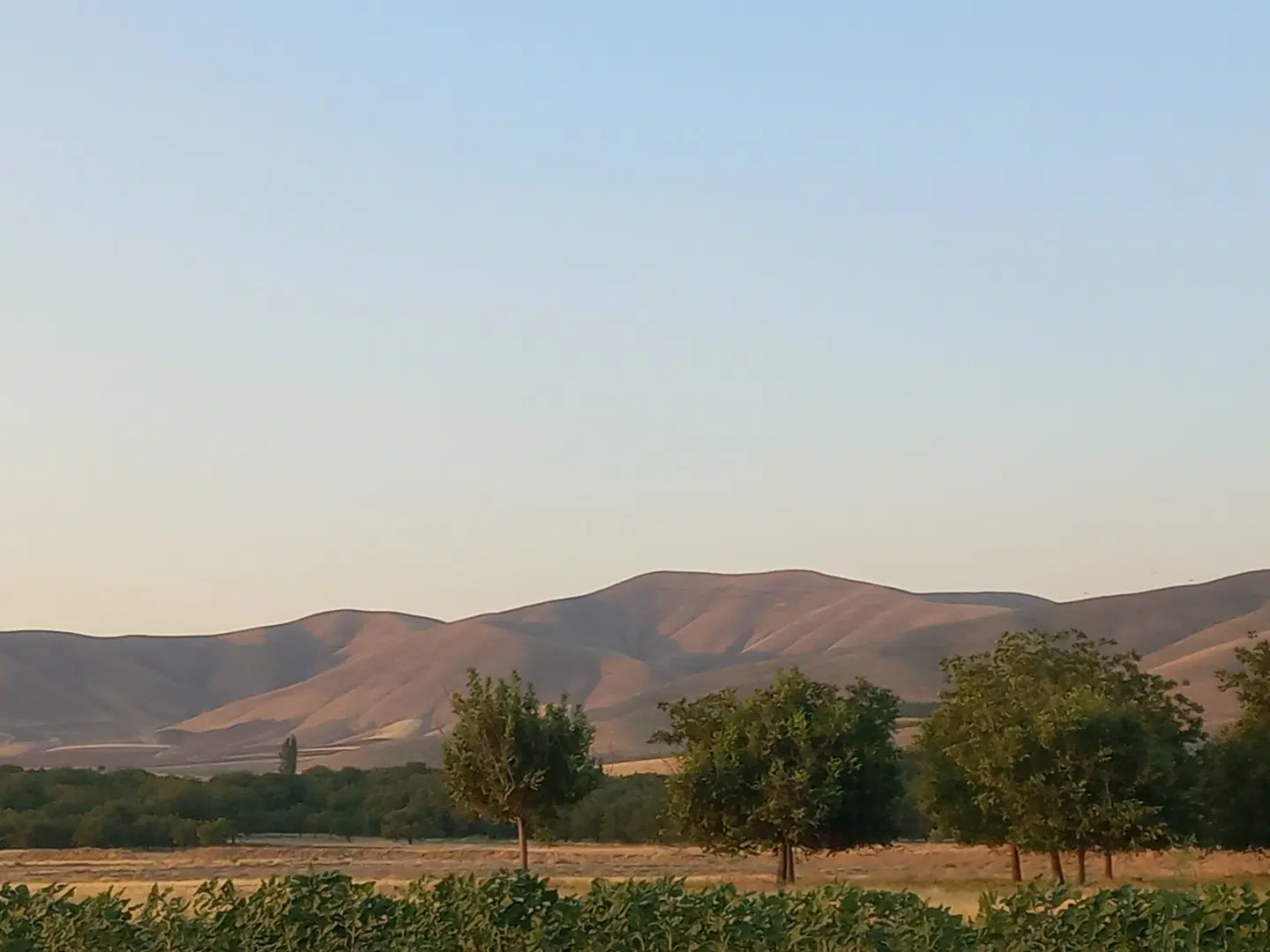 زمین کشاورزی