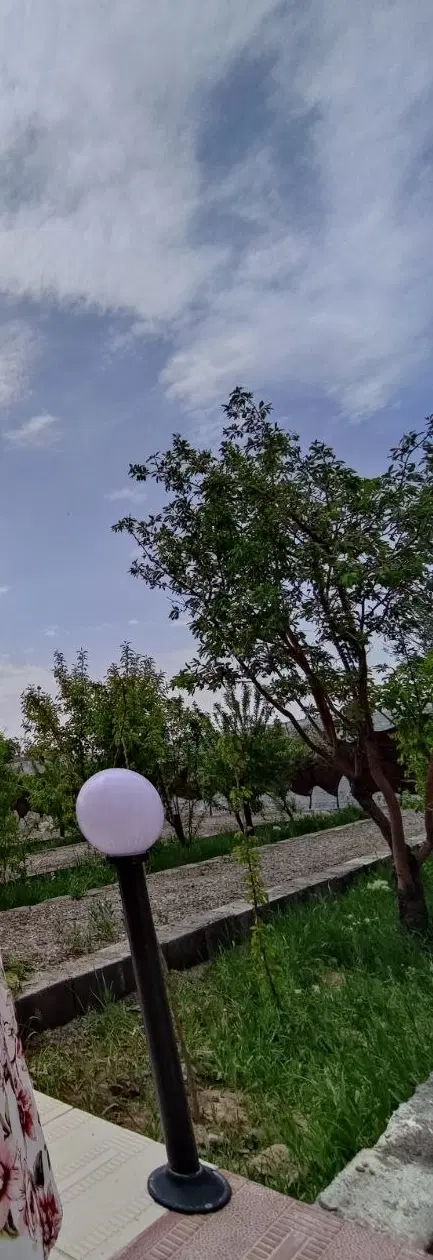 باغ
