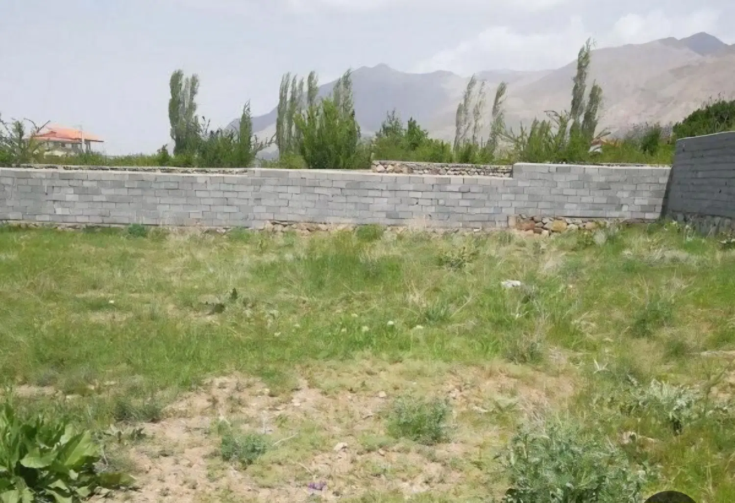 زمین تجاری