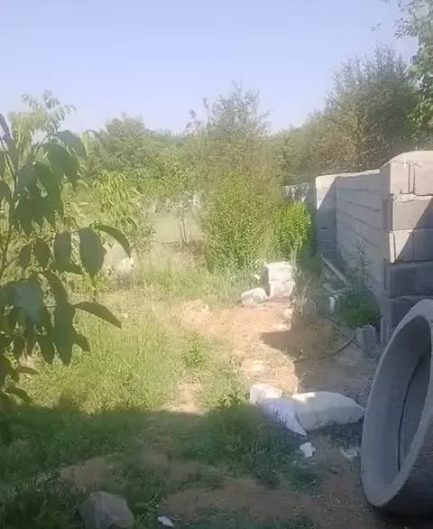 فروش باغ