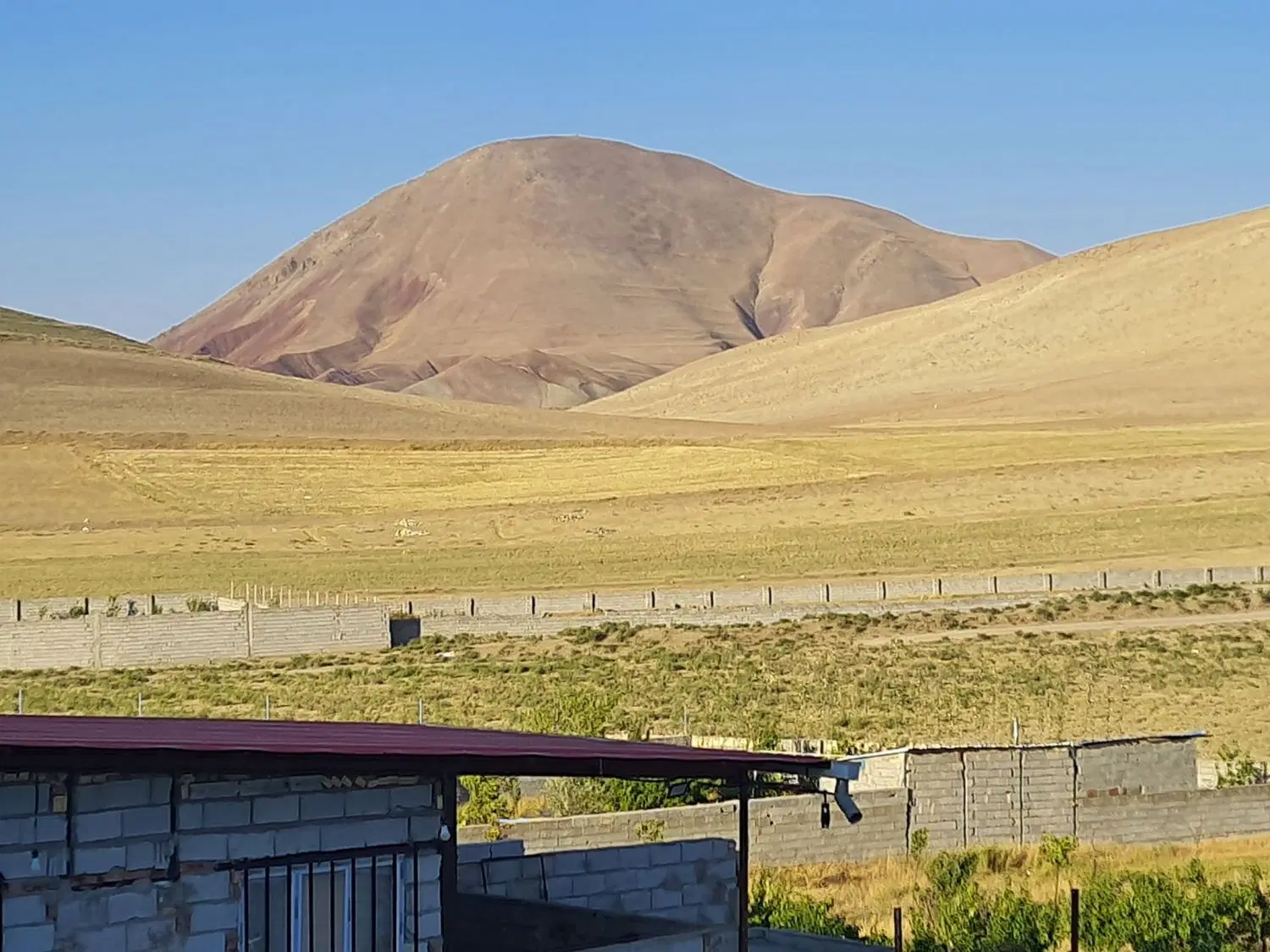 قطعه زمین کشاورزی