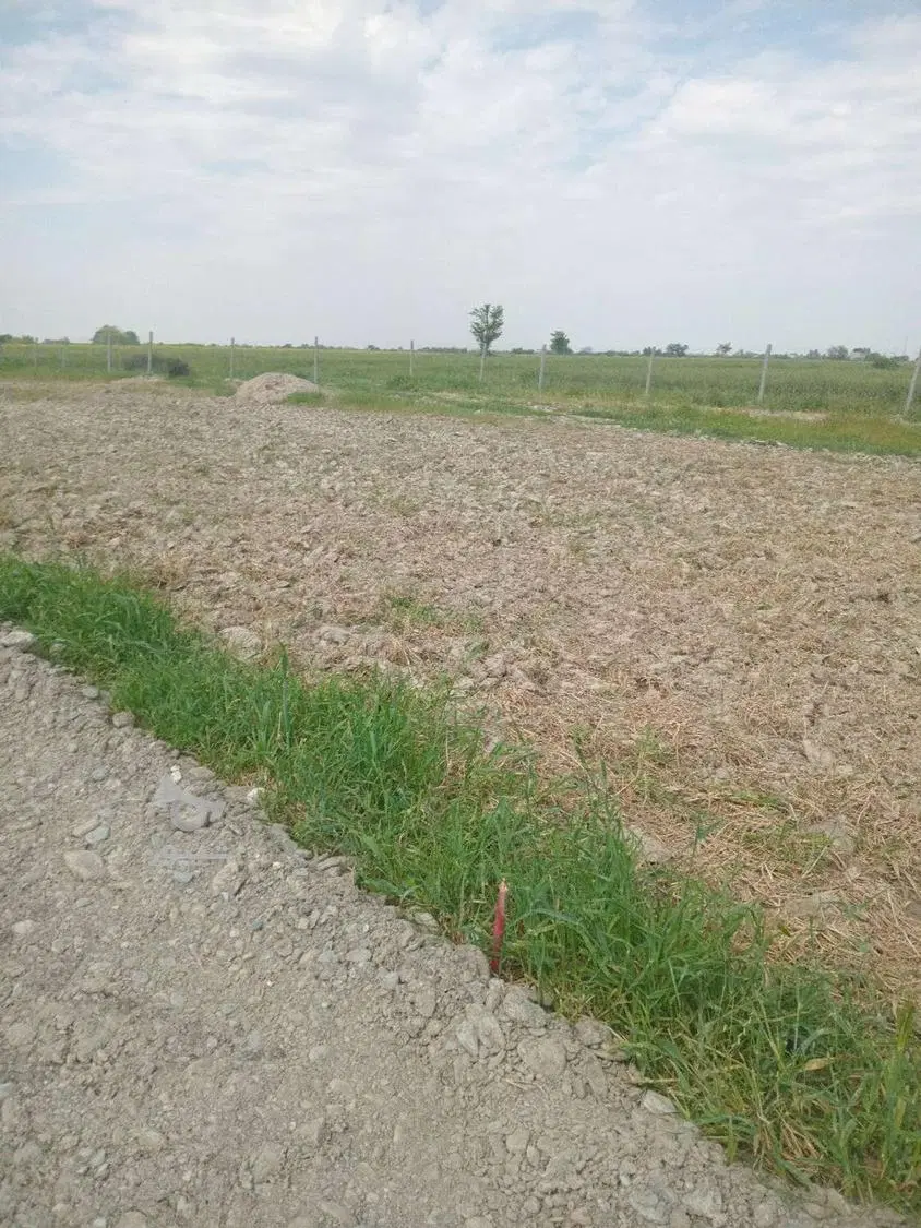 زمین مشاع در چهارصد دستگاه سراب