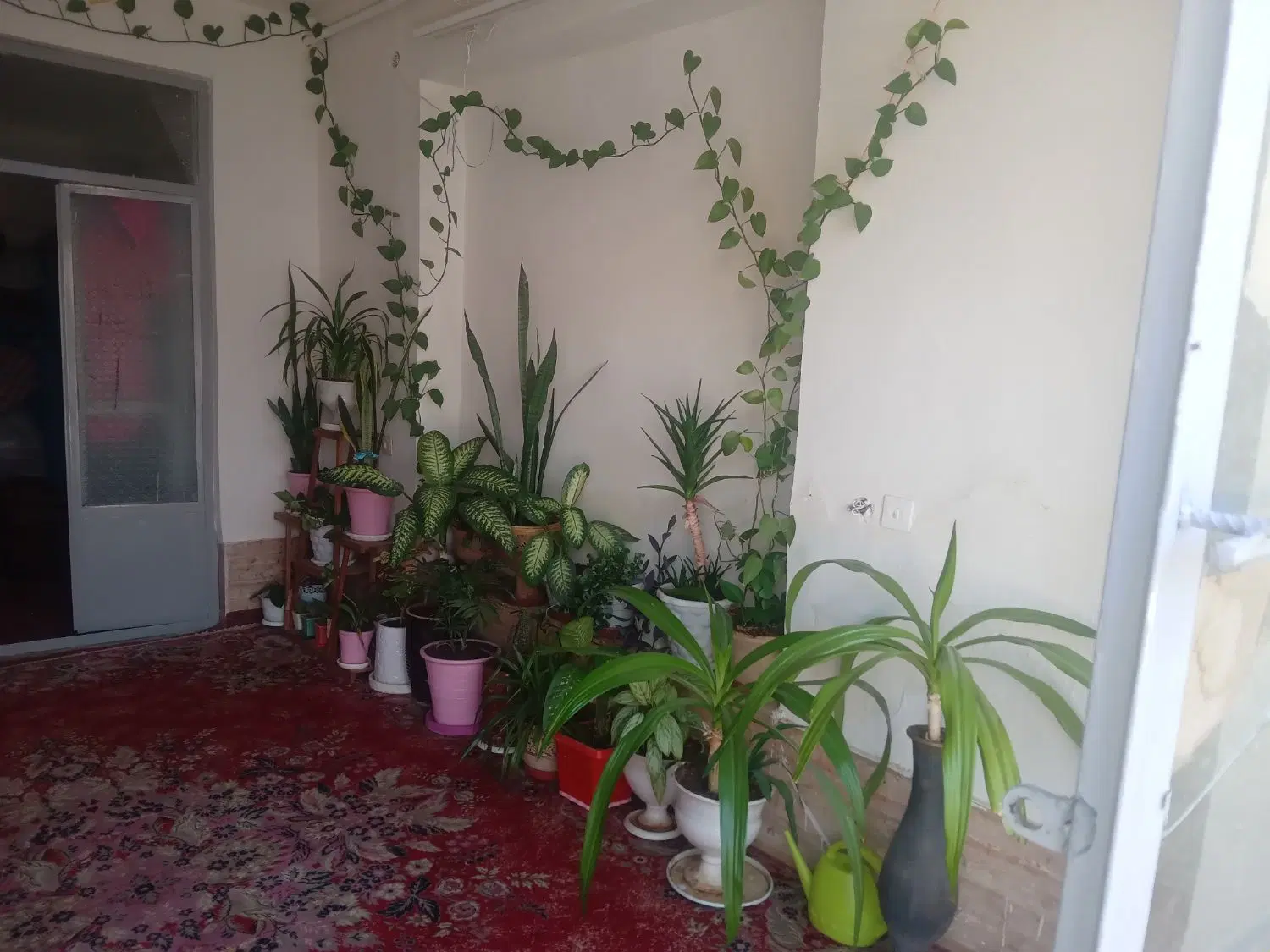 خانه کلنگی