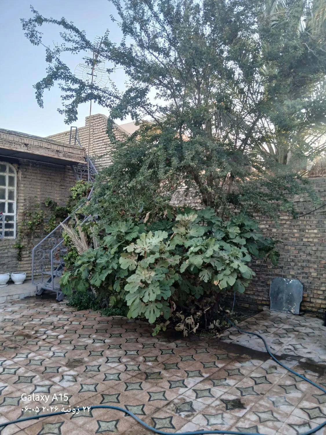 رهن واجاره  منزل ویلایی کوی بهروز بلواراصلی
