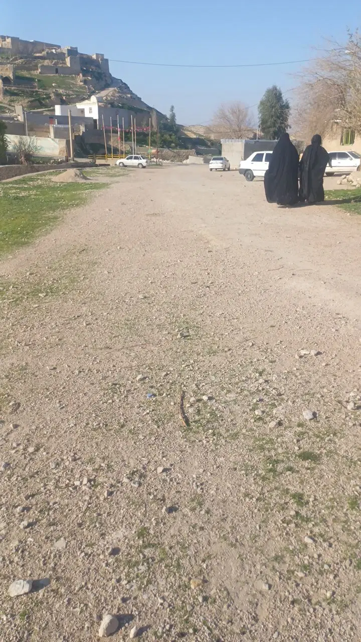 زمین