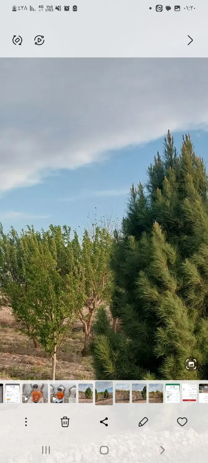زمین باغی