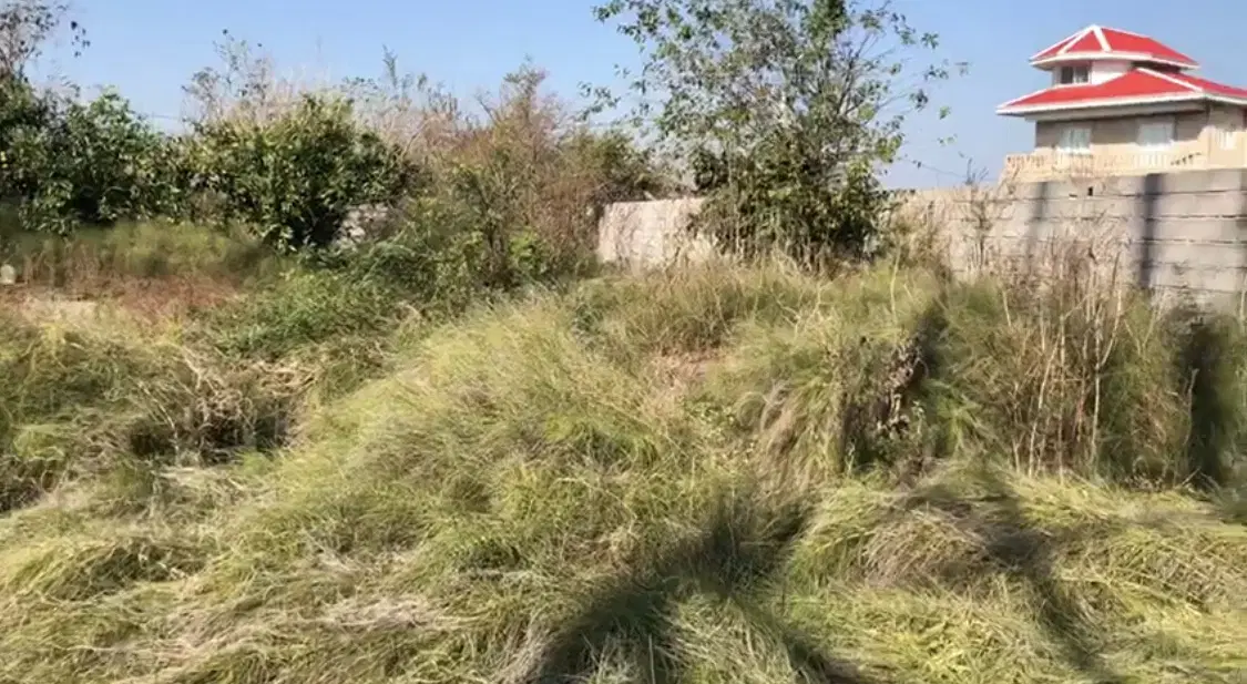 ۲۰۰متر زمین مسکونی وسطِ‌شهرِکیاشهر(سندتک‌برگ‌جدید)