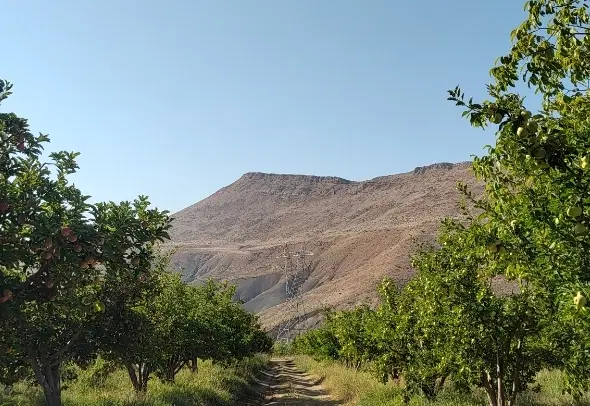 ۲۰۰مترزمین_بلوار شاهد_جهت اجاره