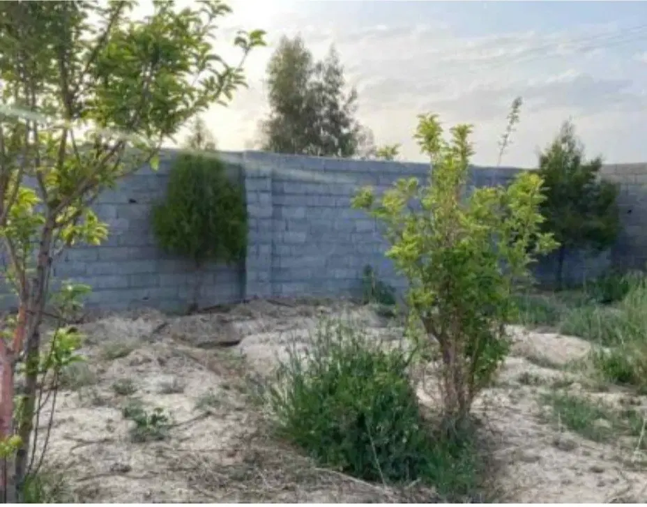 زمین۴دیواری۵۰۰متر۲ملیاردپیشوا قلعه نوجامکاران