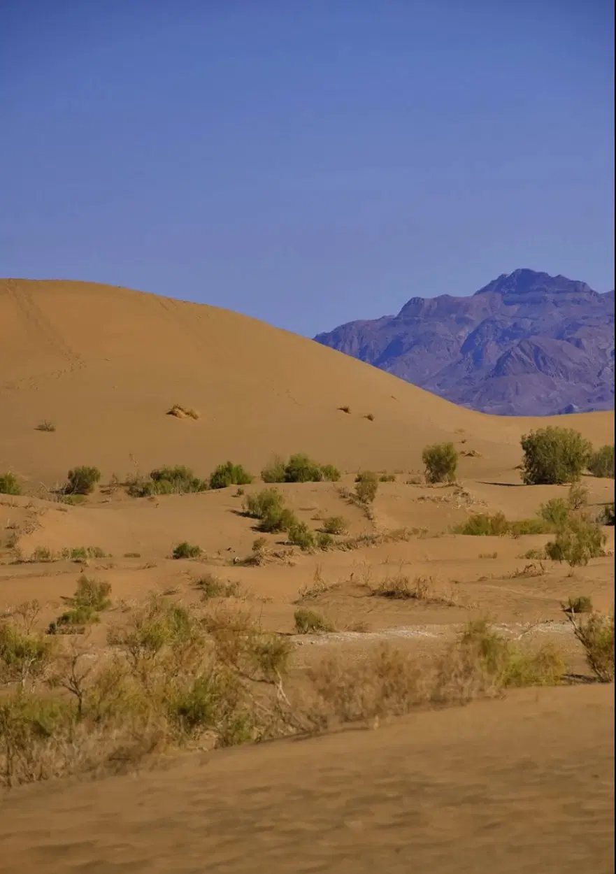 زمین زابل