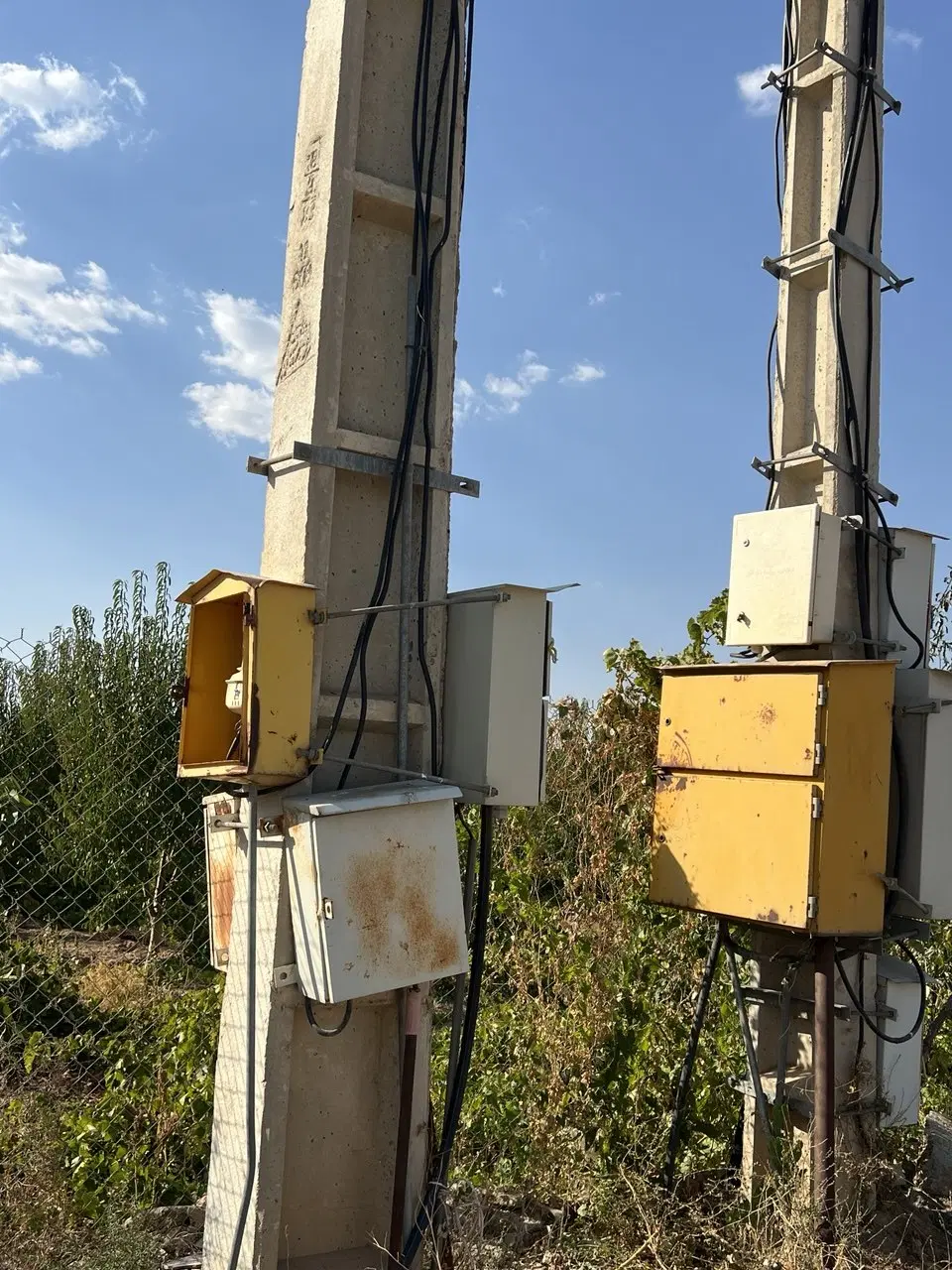 باغ انگور بادام سنددار با تمام امکانات