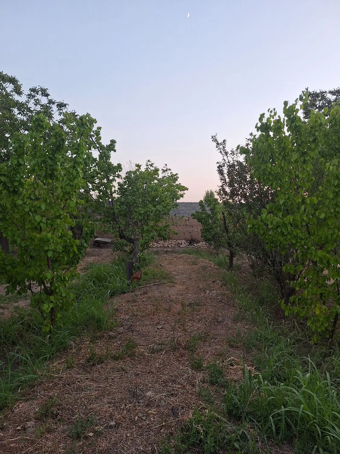 باغچه ۶۸۰ متری سند تک برگ شهرکی خیابان سرو یبارک