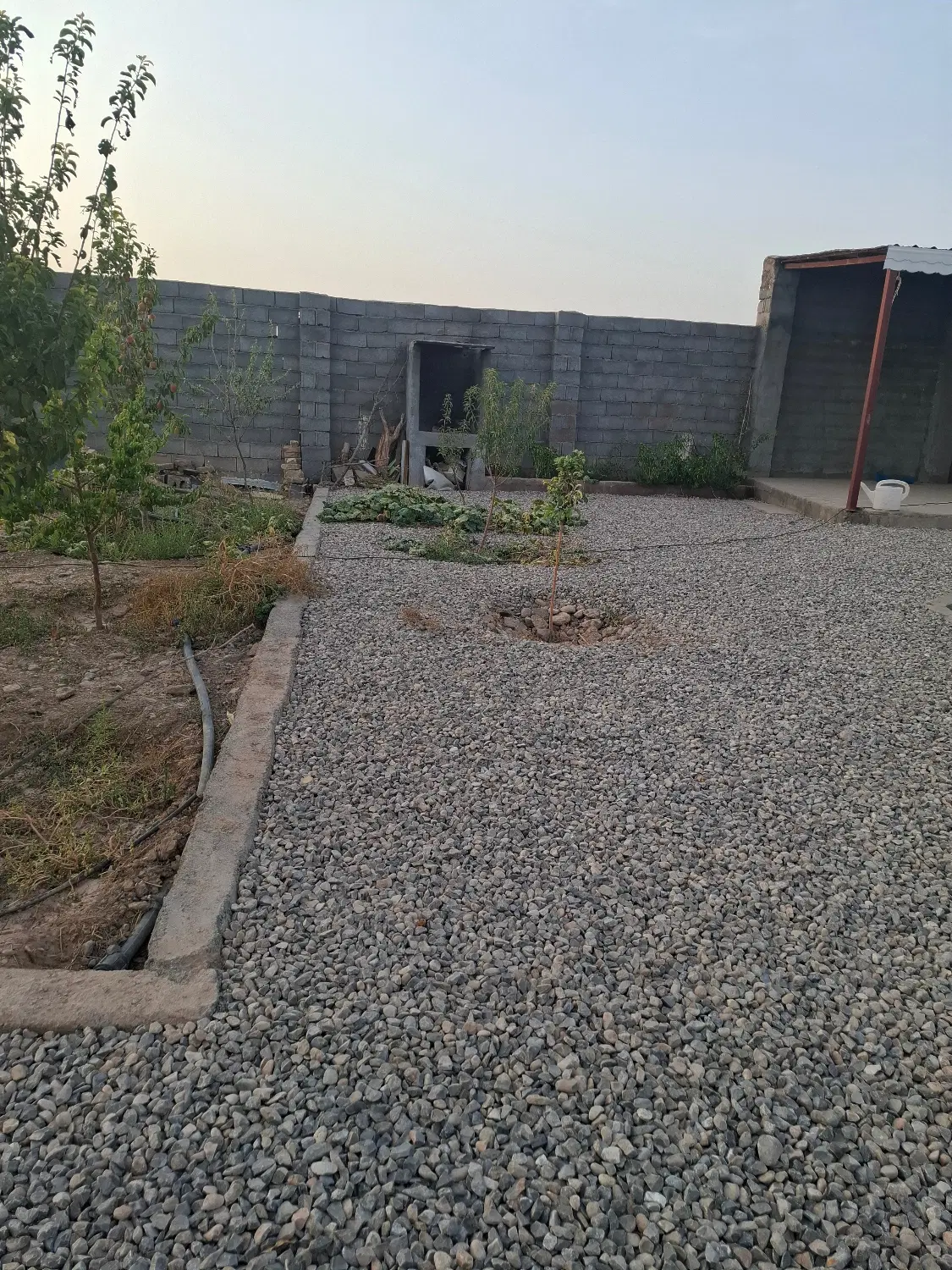 باغ