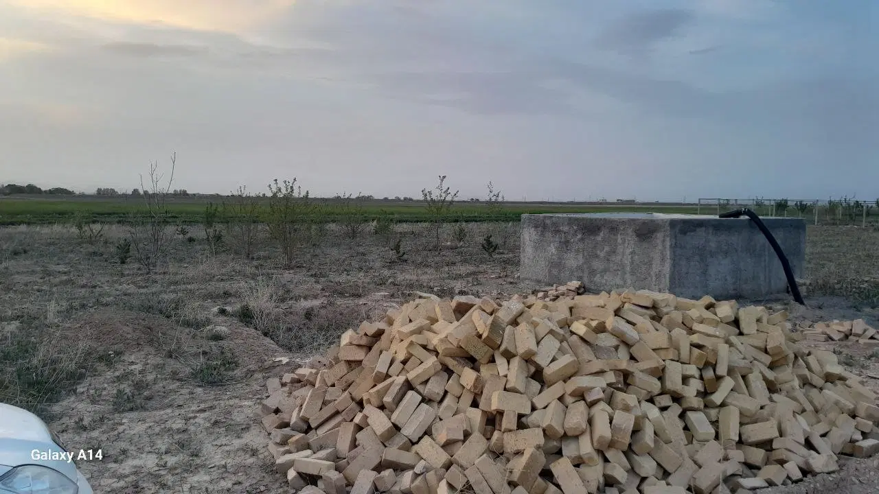باغ