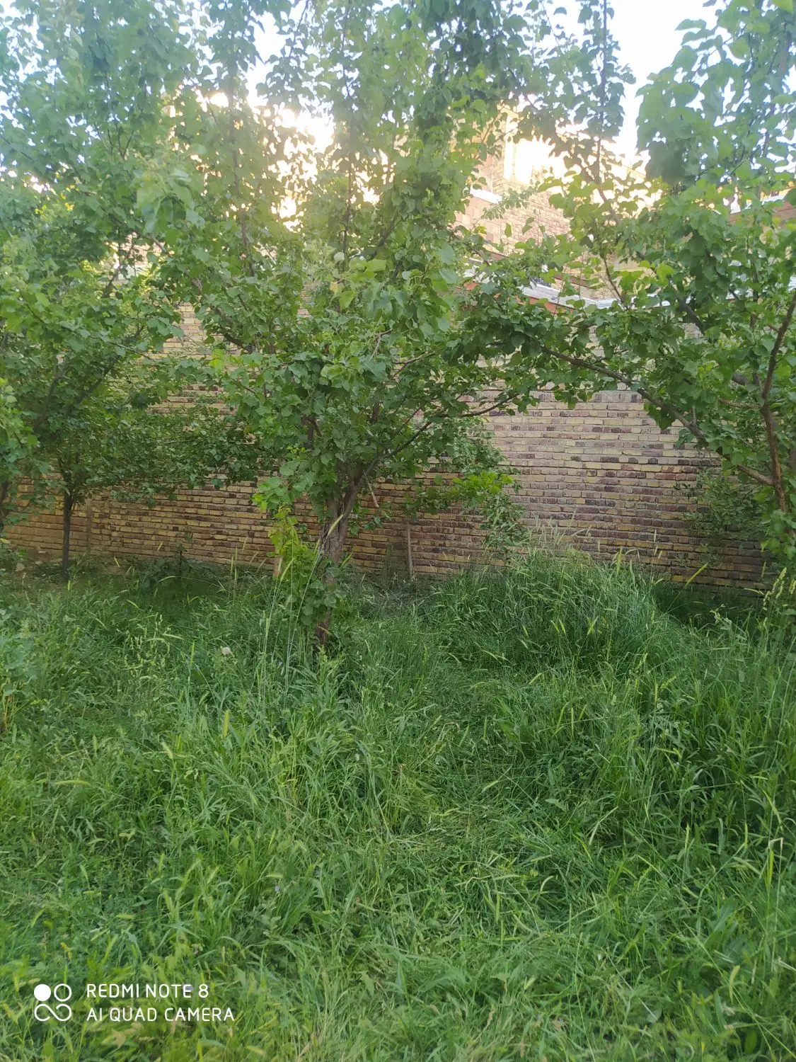 زمین مسکونی و کلنگی در ولنده