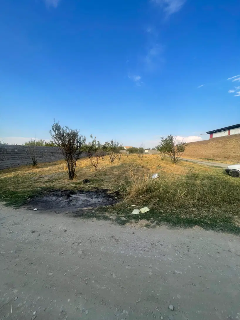 زمین کشاورزی