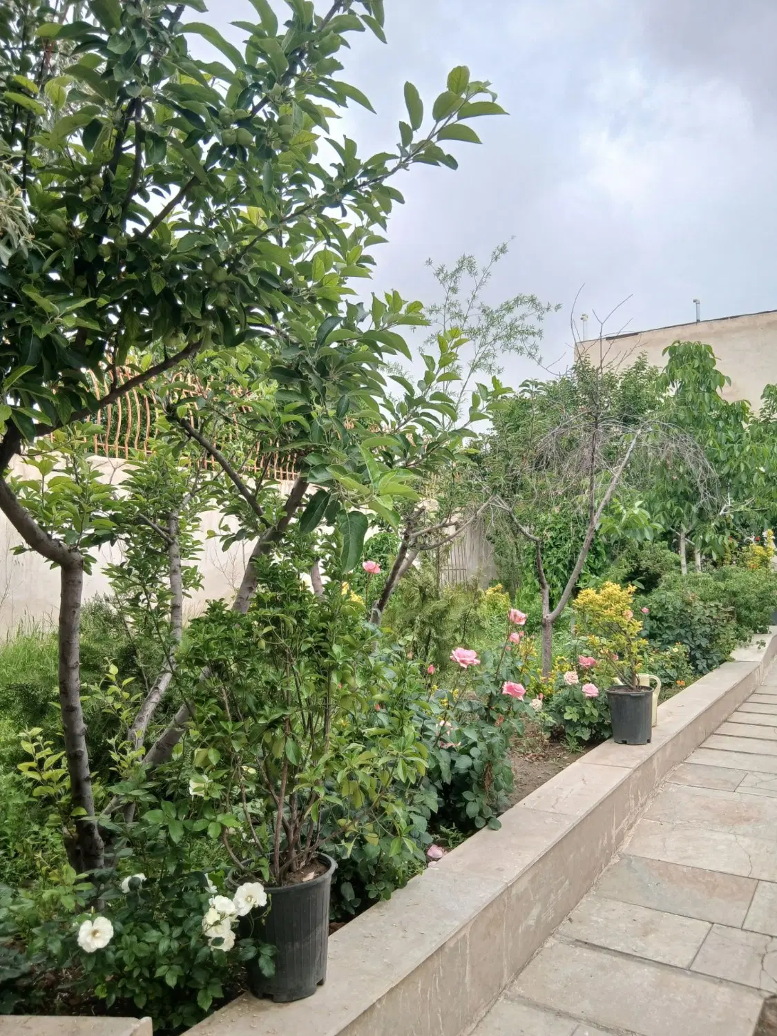 اجاره سالانه باغ شاهنامه ۳۶