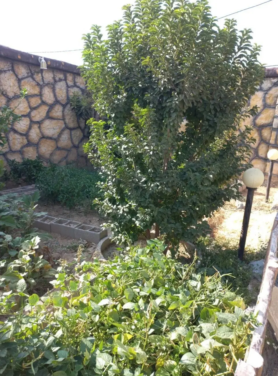 منزل مسکونی