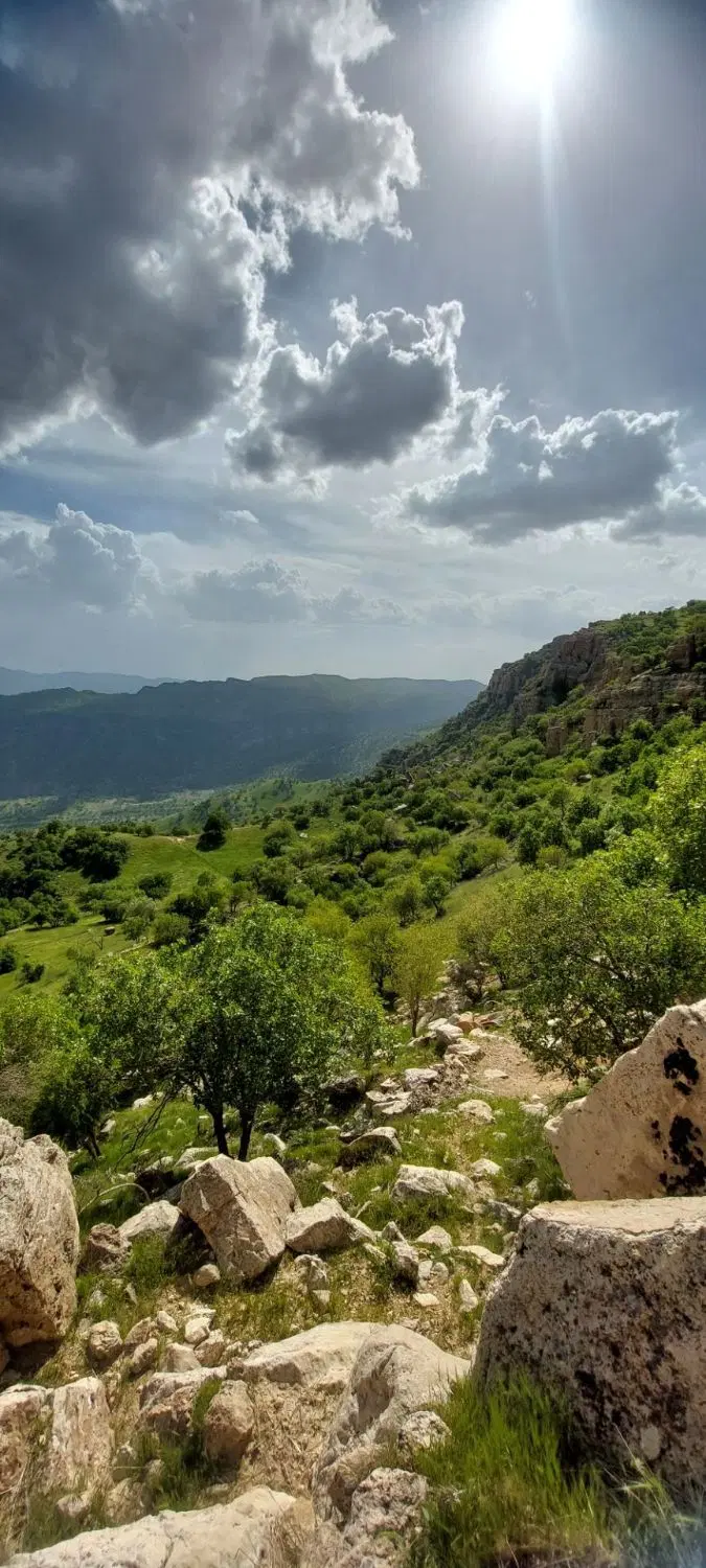 زمین کشاورزی