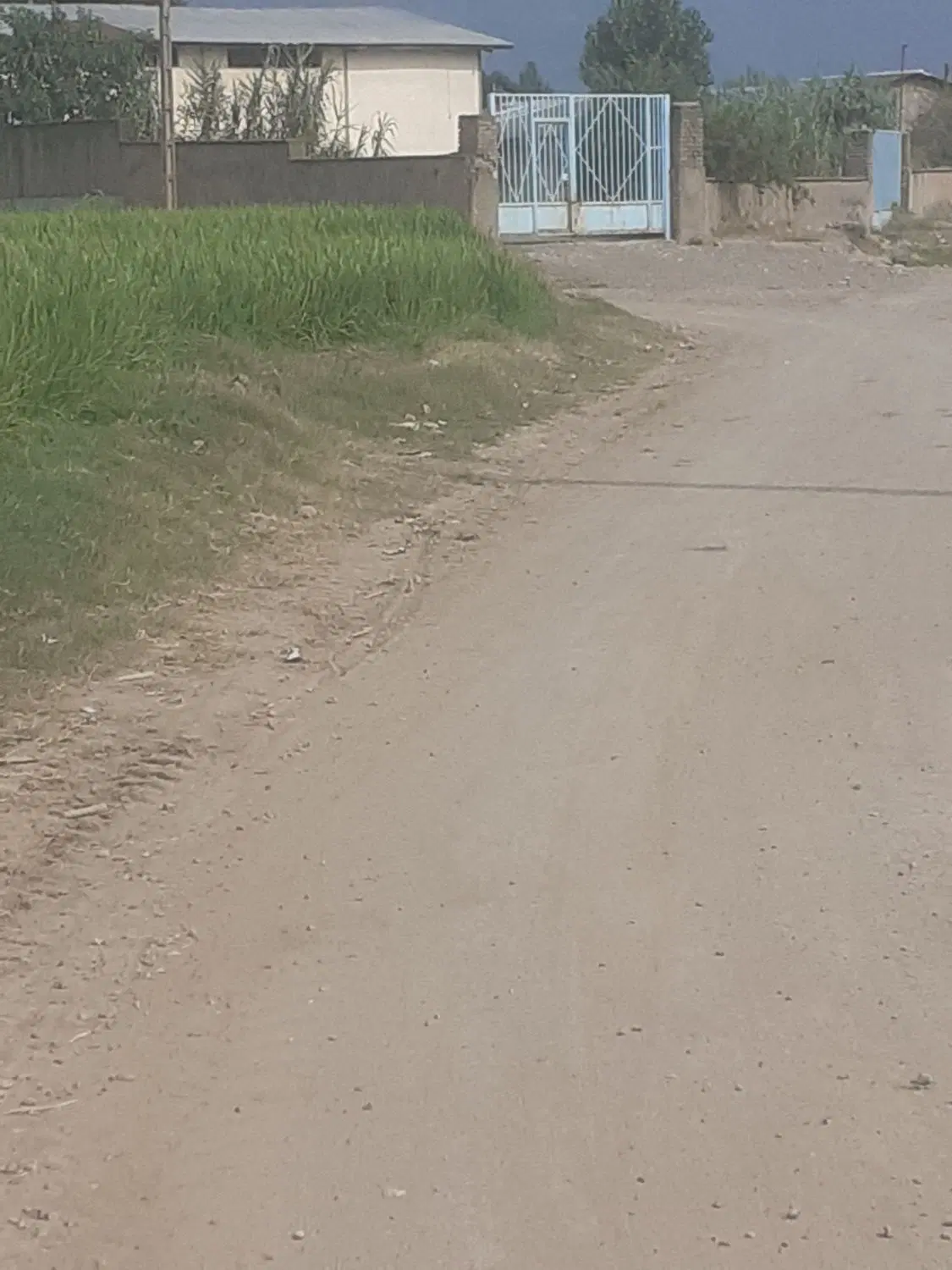 ۱۰۰۰متر زمین مسکونی واقع در روستای حکیم اباد