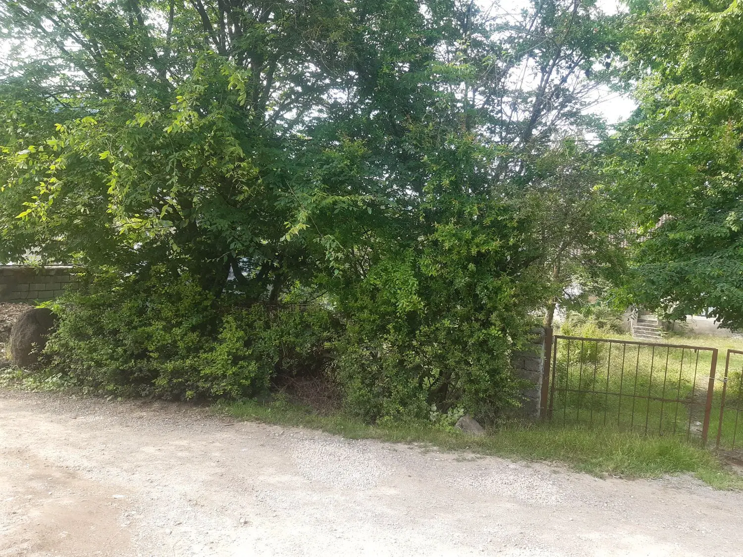 زمین ویلایی در روستای زیبای عباس آباد بندر آستارا