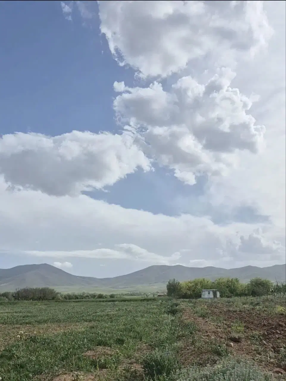 زمین 2300 متری روستای گوار شمس آباد