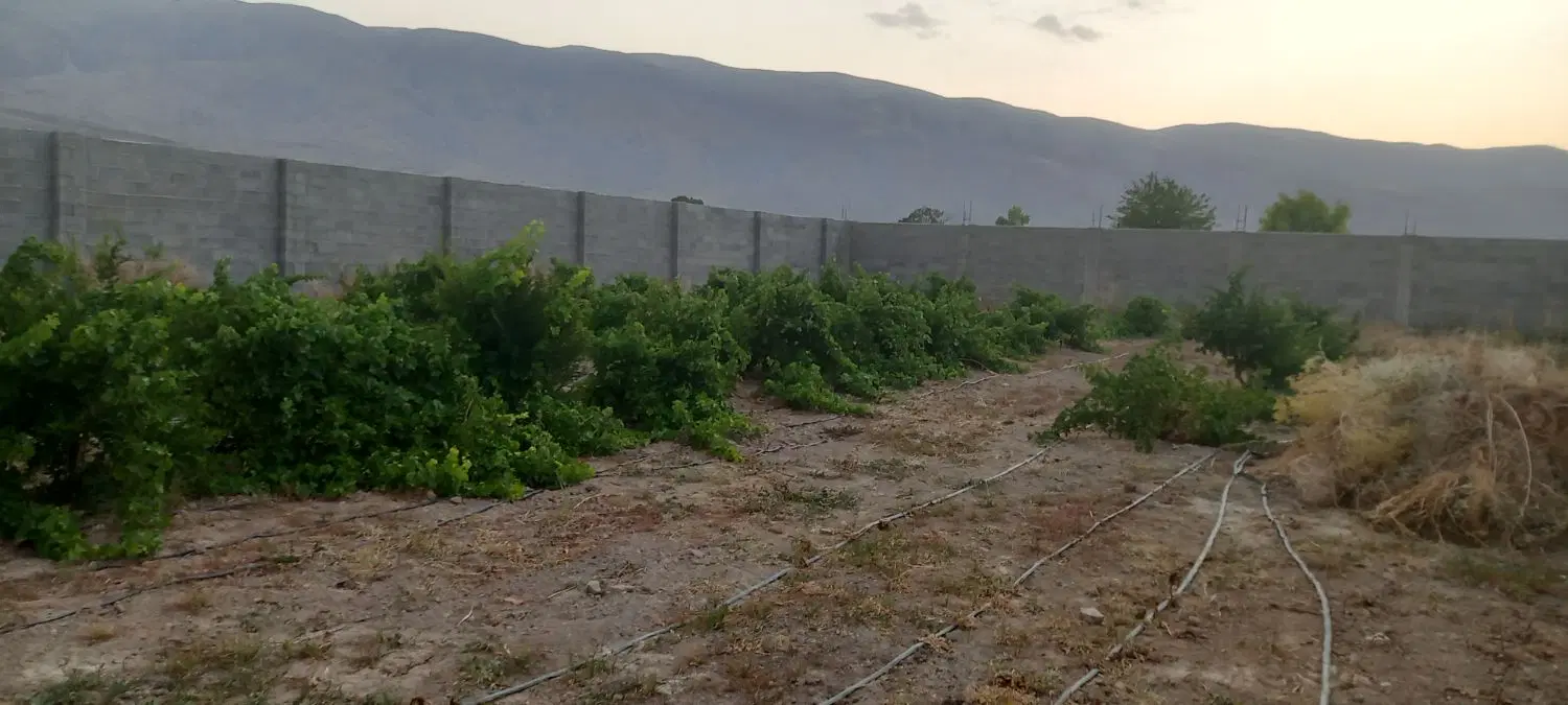 باغ شهری شیراز