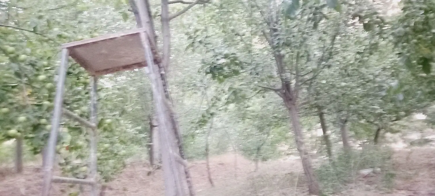 باغ کشاورزی ویلا