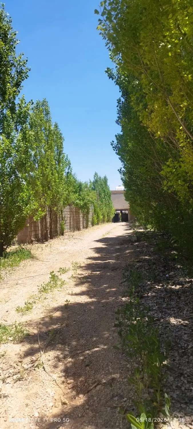 زمین باغی با دیوار کودیان