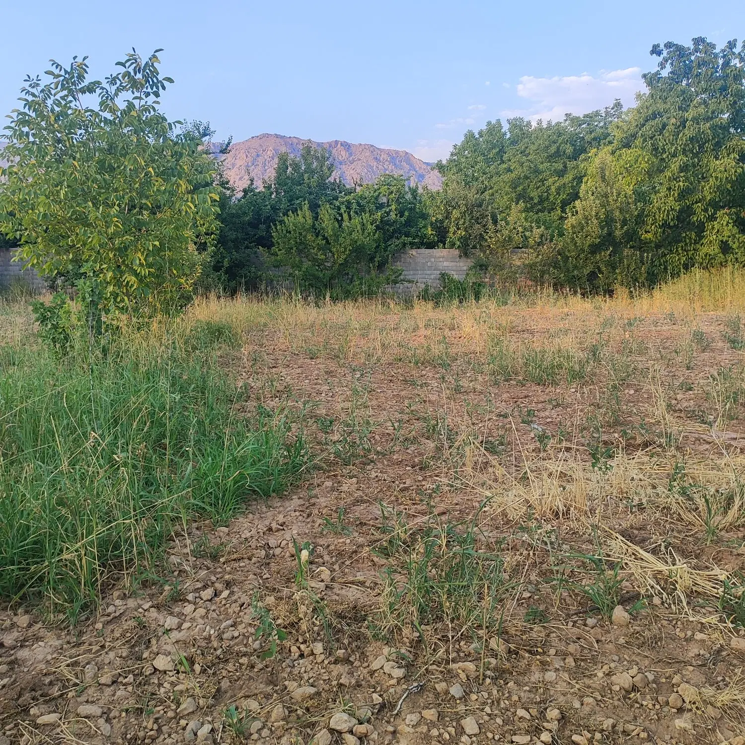 دوقطعه زمین مسکونی