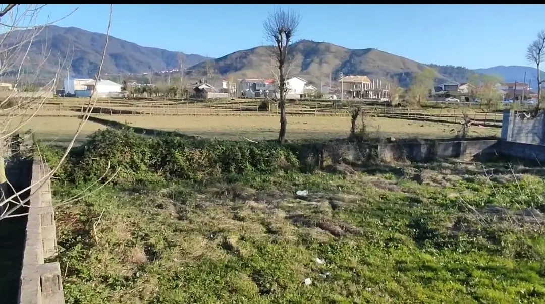 زمین طرح‌هادی تک‌برگ منظره کوه‌وشالی - لیش سیاهکل