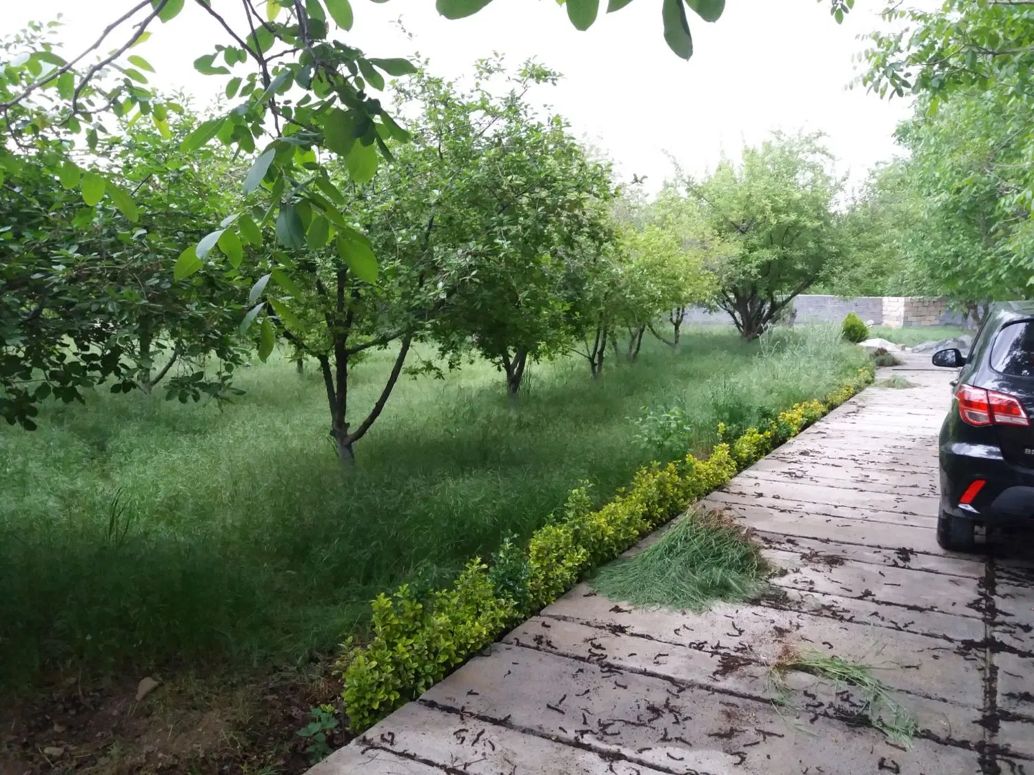باغ نزدیک ۱۰۰۰ متر