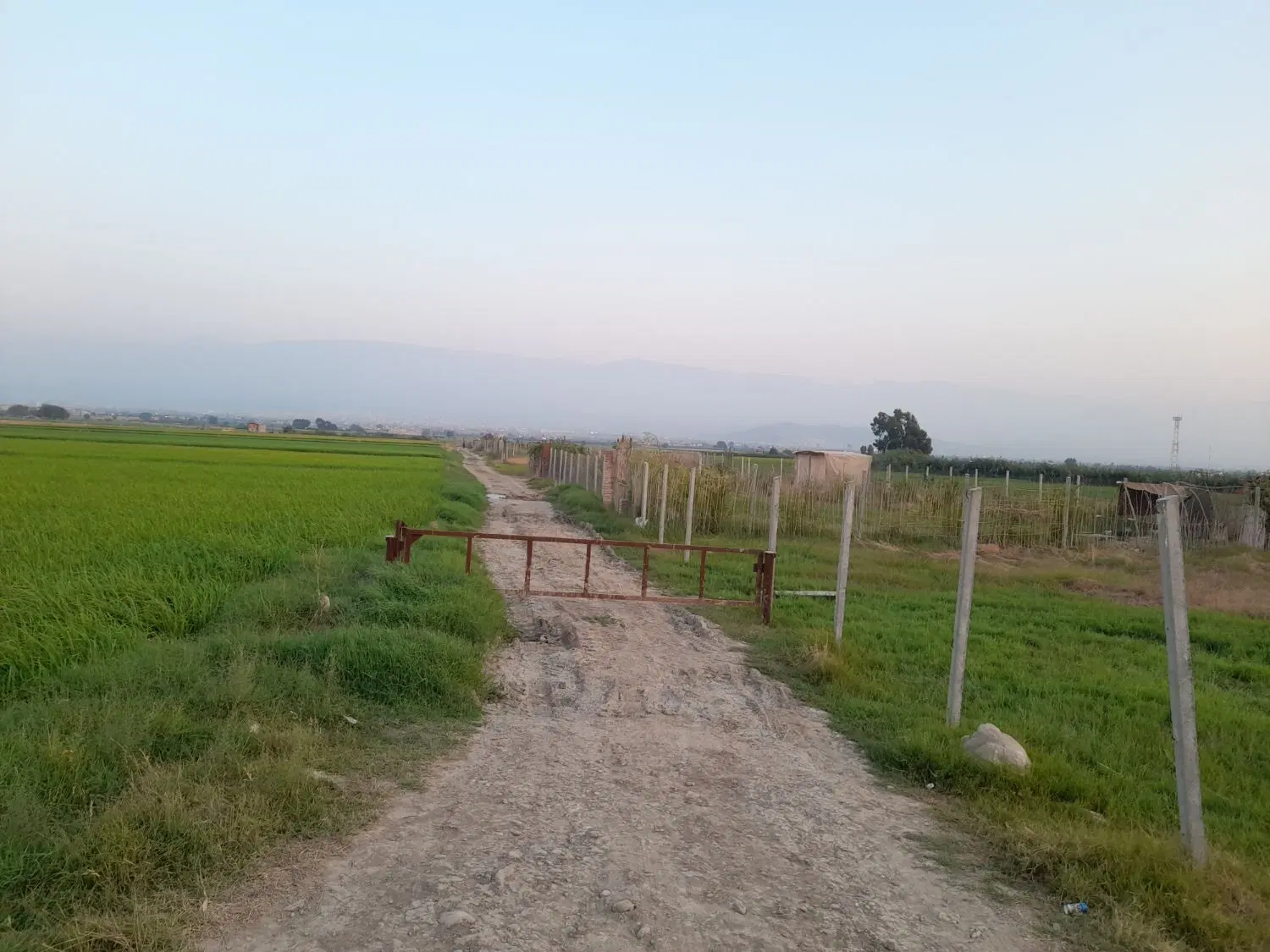 زمین باغی جاده فرودگاه