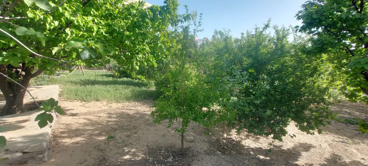 اجاره سالانه باغ و انبار