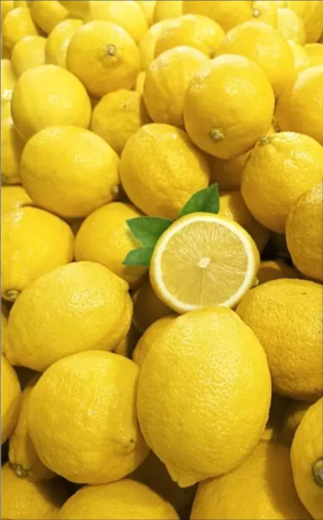فروش باغ لیمو بصورت نقد یا معاوضه با ماشین