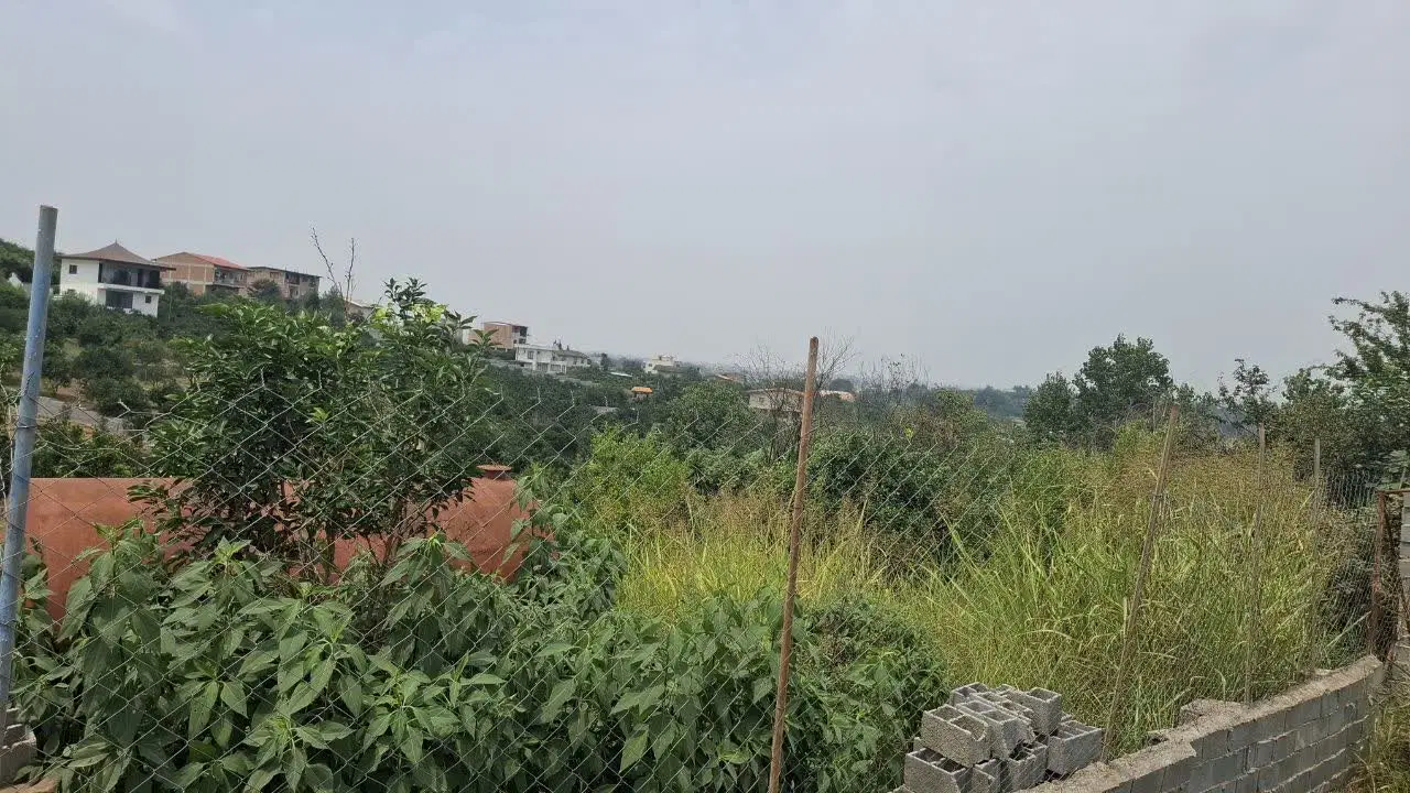 زمین کشاورزی نزدیک بافت