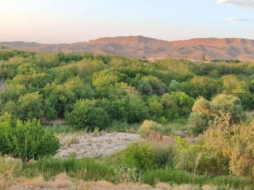 فروش زمین در روستای خبر