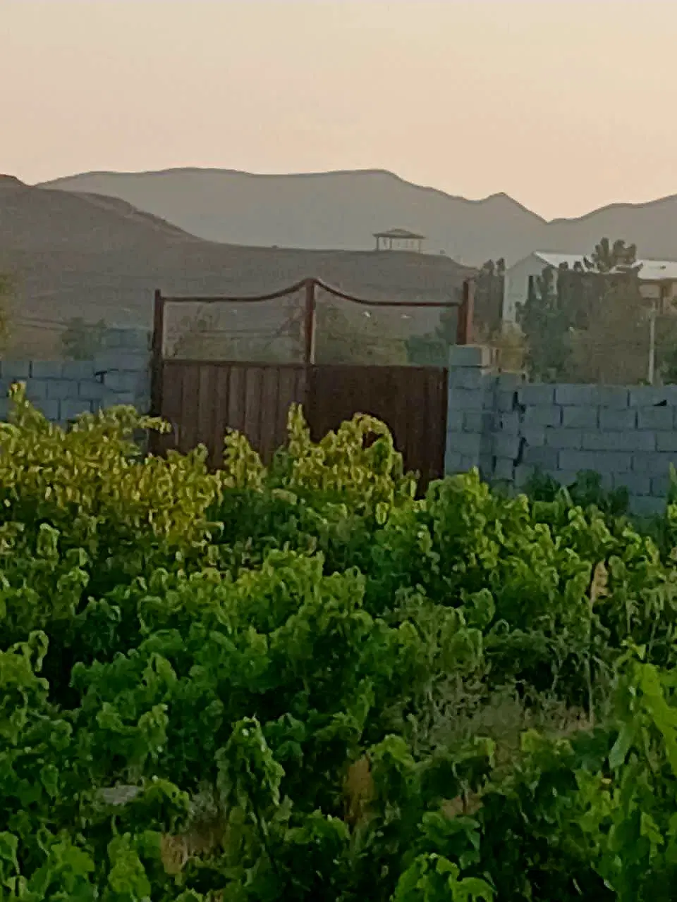 باغچه ۱۹۰متری