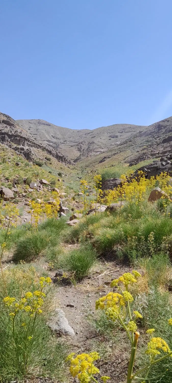 فروش زمین در روستای گوغر(گودال)